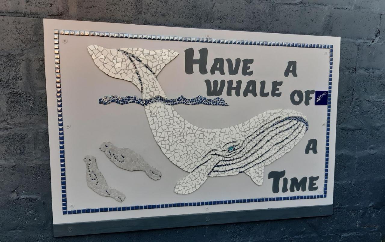 Whale Watch Accommodation De Kelders Buitenkant foto